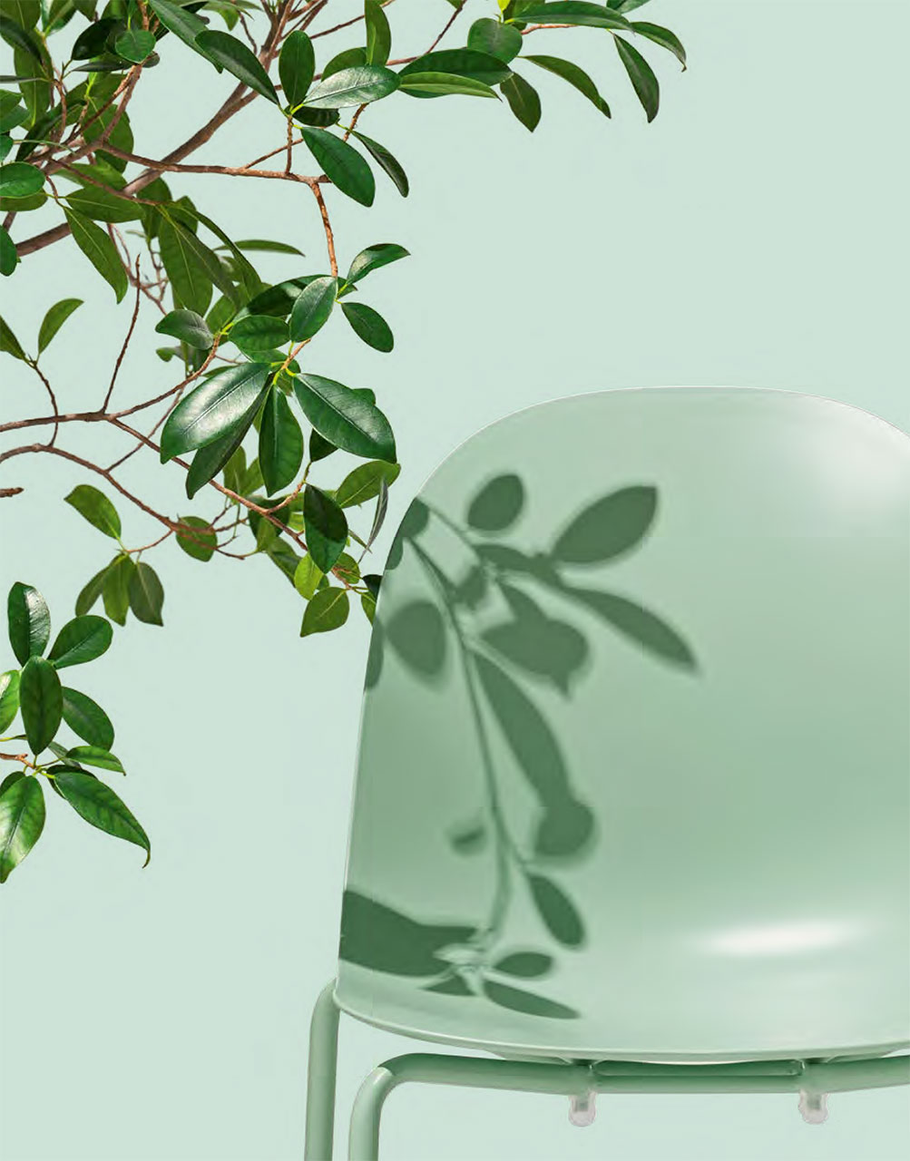 Connubia Factory, Academy chair