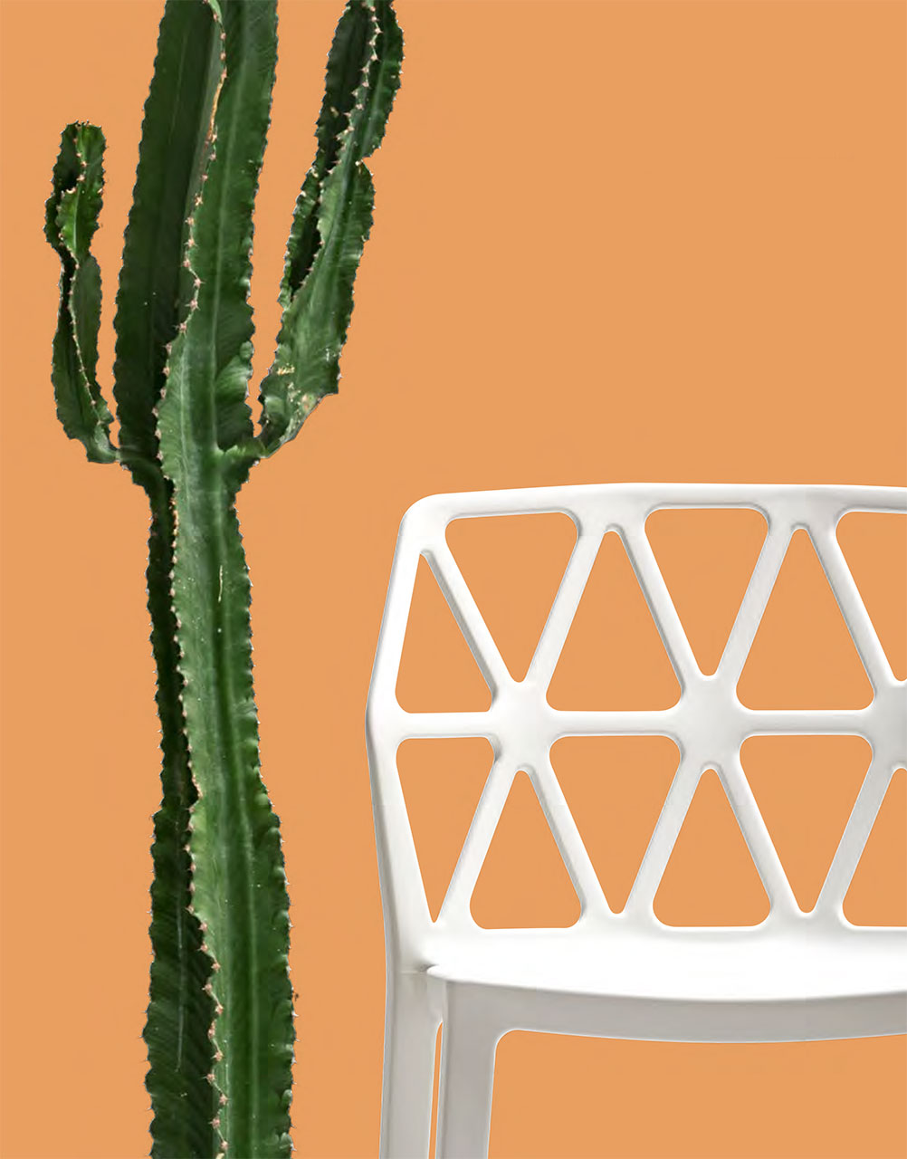 Connubia Factory, Alchemia chair