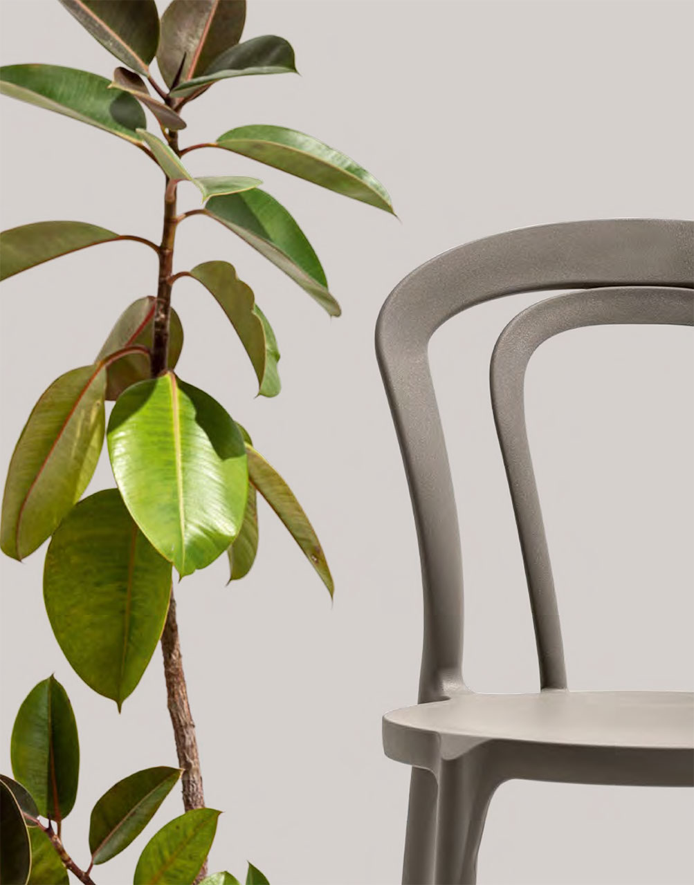 Connubia Factory, Caffe chair