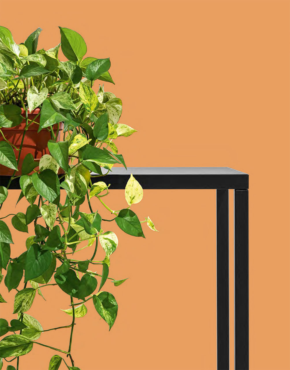 Connubia Factory, Iron Table