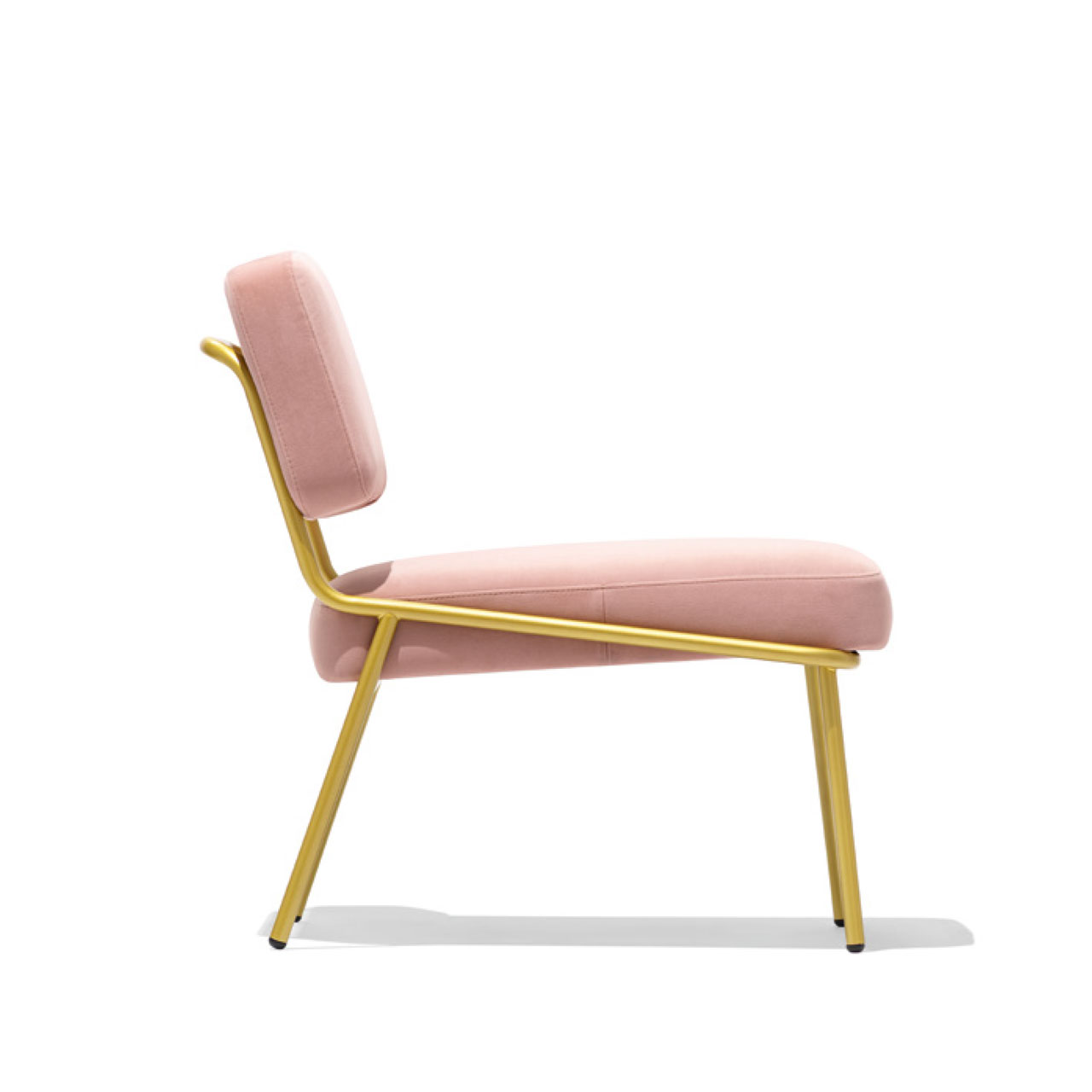 Connubia Factory, Sixty chair